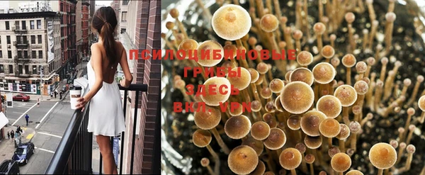 каннабис Алексин