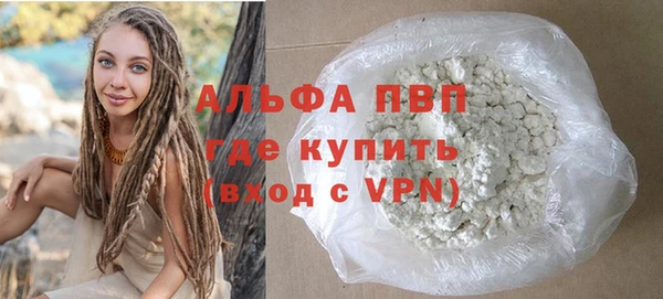 стаф Арсеньев