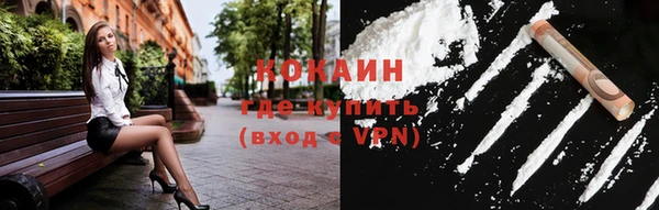шишки Заволжск