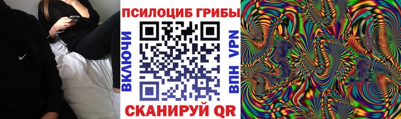 Галлюциногенные грибы MAGIC MUSHROOMS  купить  сайты  Ликино-Дулёво 